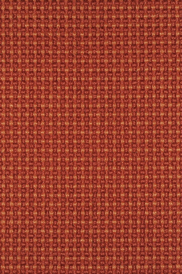 Р404